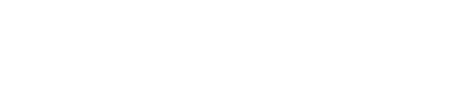telmax-eero